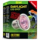 Daylight LED Spot - 5w (Exo Terra)