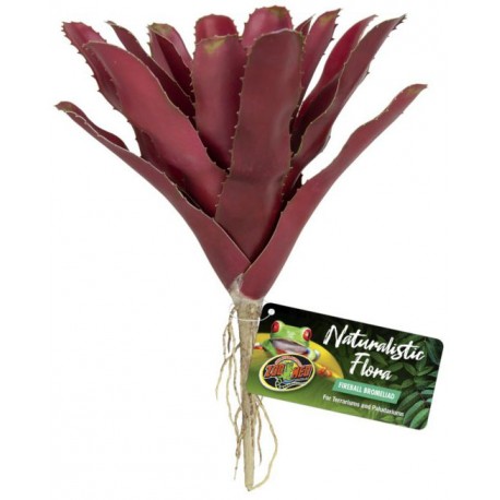 Fireball Bromeliad (Zoo Med)