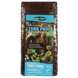Tree Fern Tropical Background - 6" x 12" (Fern Wood)