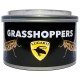 Canned Grasshoppers (Lugarti)