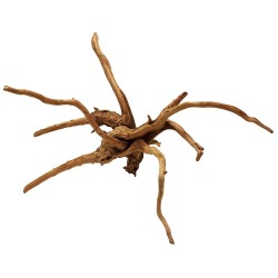 Spider Wood - MD (Lugarti)