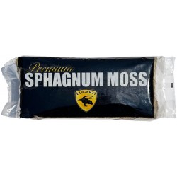 Premium Sphagnum Moss (Lugarti)