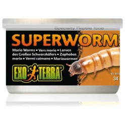 Canned Superworms (Exo Terra)