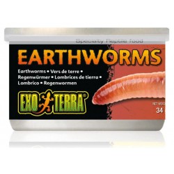 Canned Earthworms (Exo Terra)
