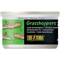 Canned Grasshoppers - XL (Exo Terra)