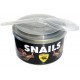 Canned Snails (Lugarti)