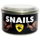 Canned Snails (Lugarti)