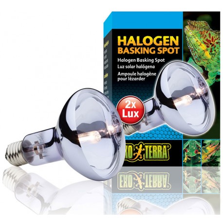 Halogen Basking Spot - 25w (Exo Terra)