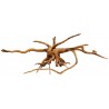 Spider Wood - JM (Lugarti)