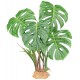 Standing Plant - Monstera Leaf (Komodo)