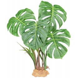 Standing Plant - Monstera Leaf (Komodo)