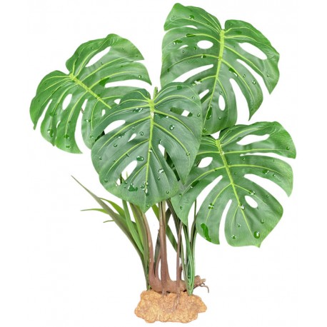 Standing Plant - Monstera Leaf (Komodo)