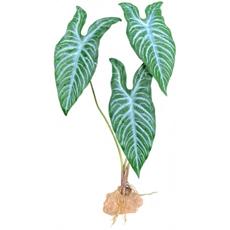 Standing Plant - Emerald Vine (Komodo)