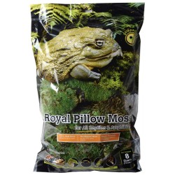 Royal Pillow Moss - 8 qt (Galapagos)