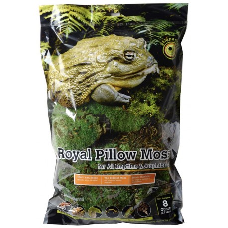 Royal Pillow Moss - 8 qt (Galapagos)