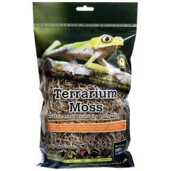 Spanish Moss - 2.6 qt (Galapagos)