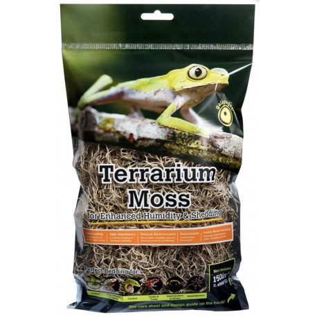 Spanish Moss - 2.6 qt (Galapagos)