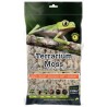 Reindeer Moss - 2.6 qt (Galapagos)