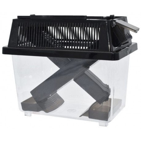 Cricket Keeper - Small (Komodo)