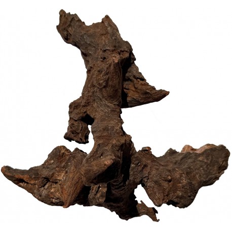 Natural Driftwood - Medium (Lugarti)