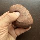 TerraMud - 28 oz (Lugarti)