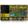 Forest Moss (Exo Terra)