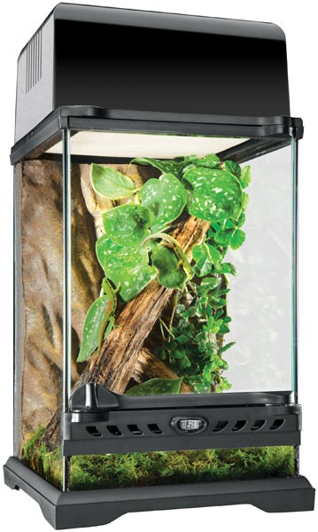 レイアウト用品 GLASS TERRARIUM 3045 爬虫類ケージ GEX エキゾテラ グラステラリウム 3045 + アクロ