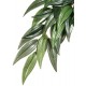 Ruscus Hanging Plant - LG (Exo Terra)