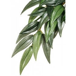 Jungle Plant - Ruscus - MD (Exo Terra)