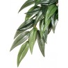 Jungle Plant - Ruscus - MD (Exo Terra)