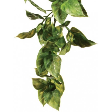 Amapallo Hanging Plant - LG (Exo Terra)