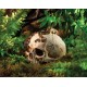 Primate Skull (Exo Terra)