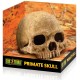 Primate Skull (Exo Terra)