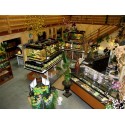 The Serpentarium - LODI, CA