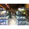 The Serpentarium - ELK GROVE, CA